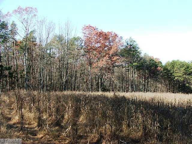 3 Shoals Rd Shoals Pinnacle, NC 27043 - Photo 4 of 11 Land. Left side of back field
