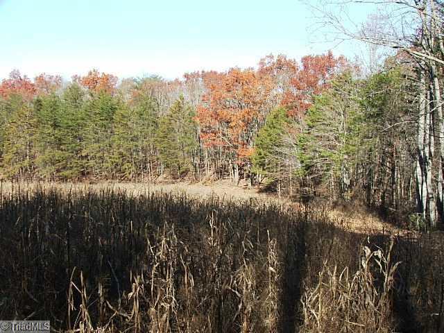 3 Shoals Rd Shoals Pinnacle, NC 27043 - Photo 5 of 11 Land. Right side of field
