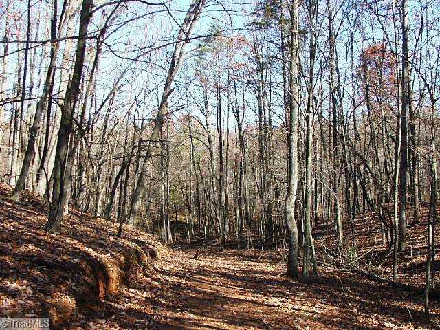 3 Shoals Rd Shoals Pinnacle, NC 27043 - Photo 6 of 11 Land. Internal farm road to back field