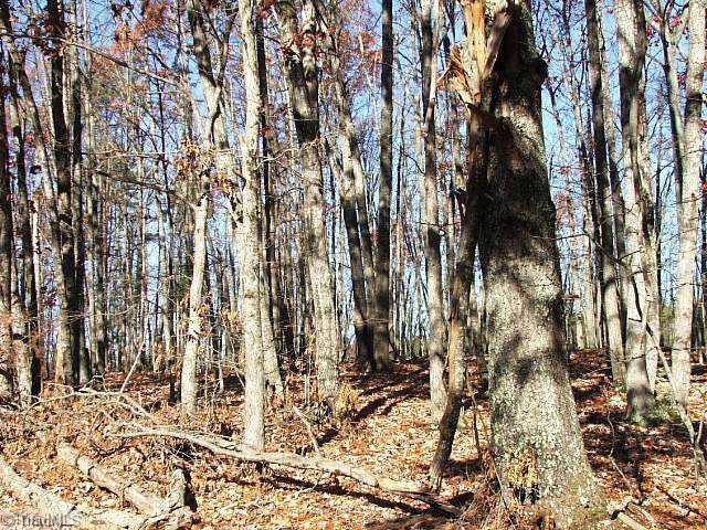 3 Shoals Rd Shoals Pinnacle, NC 27043 - Photo 7 of 11 Land. Beautild all hard wood ridge with several private buildings sites