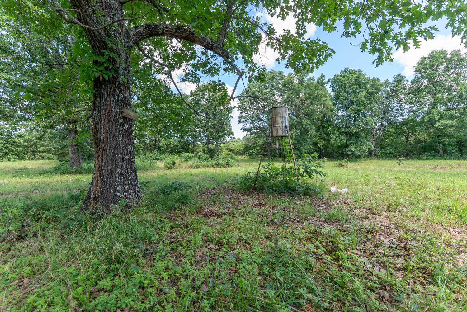 538 Pleasant Run Road Mammoth Spring, AR 72554 - Photo 35 of 55 Mobile home on 40 acres005
