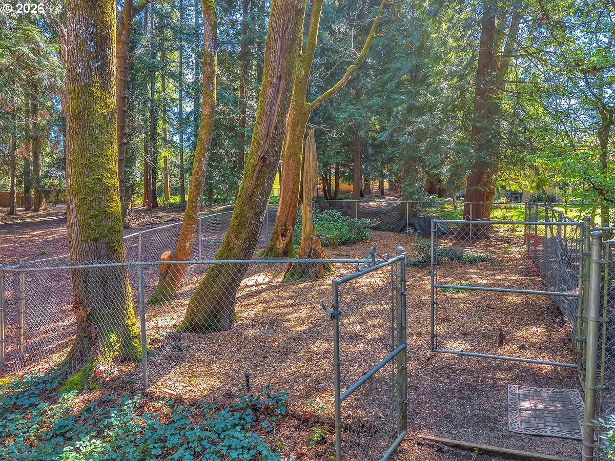 9200 Southwest Elrose Court Portland, OR 97224 - Photo 41 of 46 a view of a park with large trees
