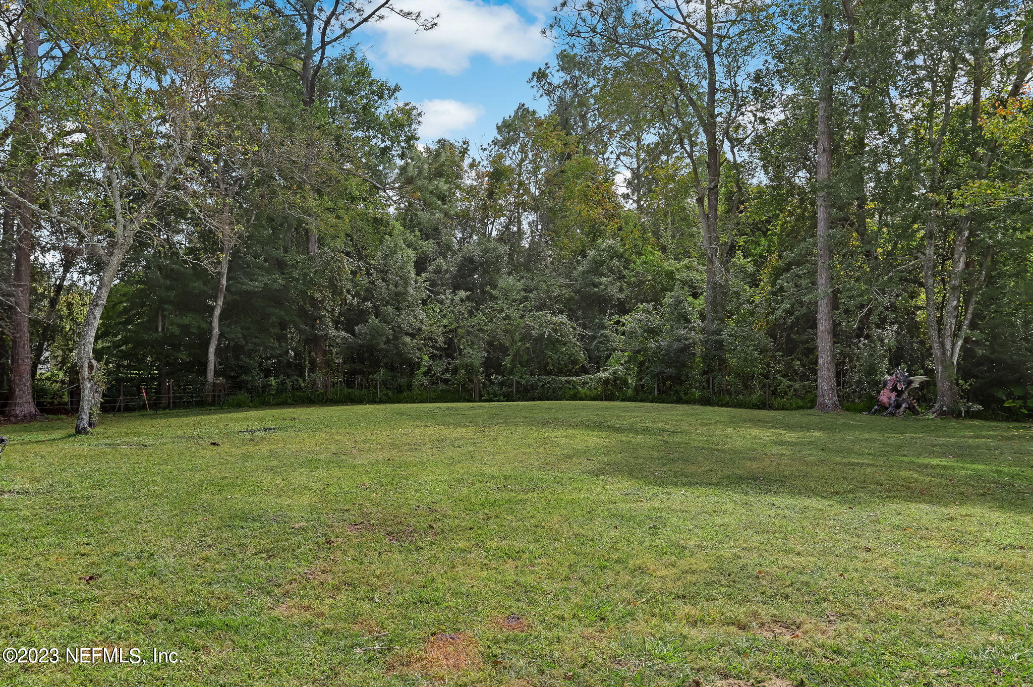 9060 Taylor Field Road Jacksonville, FL 32222 - Photo 44 of 48 44-web-or-mls-43_9060 Taylor Field
