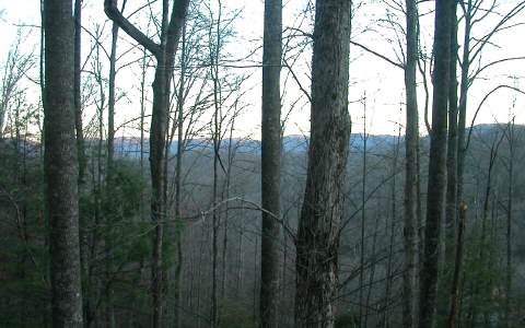 Lotd2 Moon Ridge Blairsville, GA 30512 - Photo 1 of 1 Main View