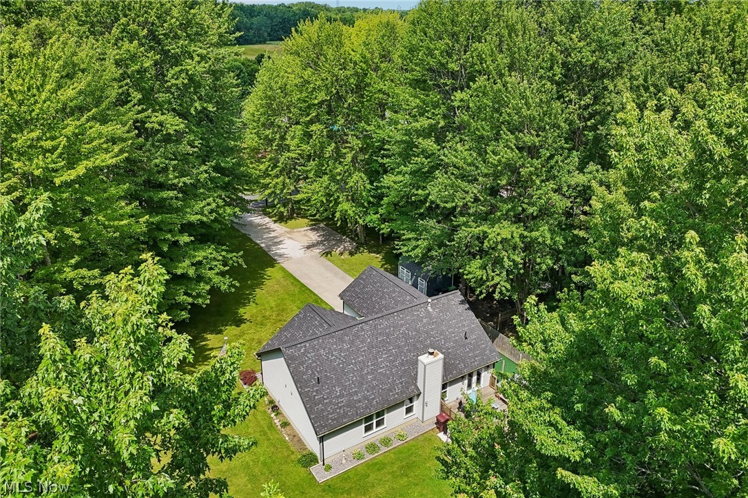 3213 Bates Road Madison, OH 44057 - Photo 4 of 45 Private wooded setting with a winding driveway