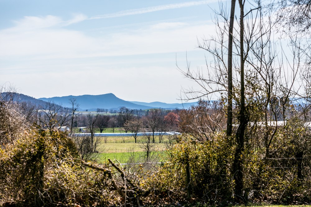 8687 Union Springs Road Dayton, VA 22821 - Photo 36 of 37 a view of a lake with a mountain in the background