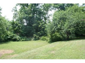 122 Nanny Goat Hill Road Elizabethton, TN 37643 - Photo 10 of 10 BACKYARD