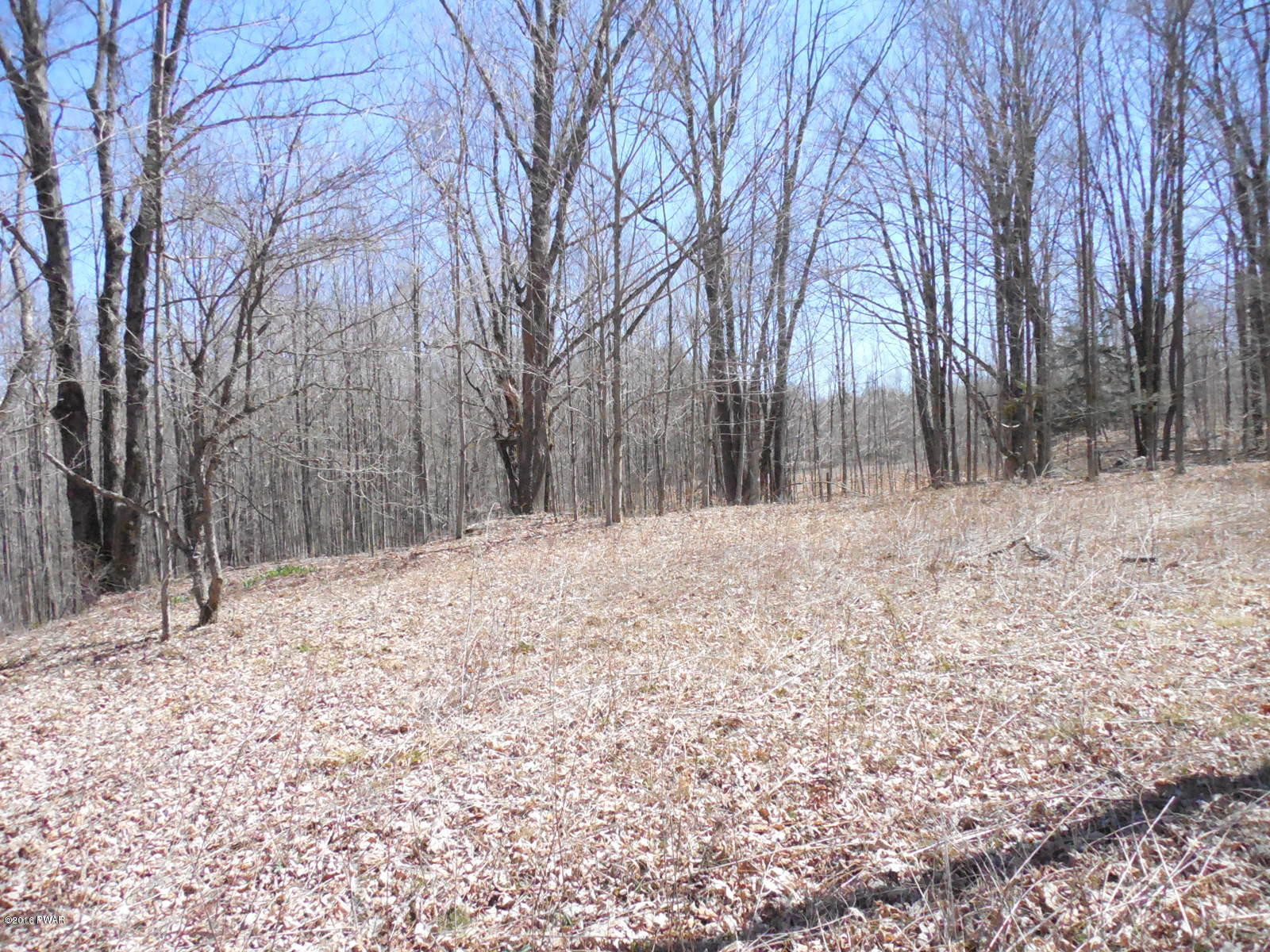 Burns Road Waymart, PA 18472 - Photo 5 of 7