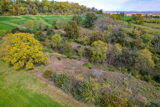 a view of a trees with a yard