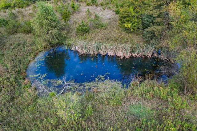 a view of a lush green hillside and trees