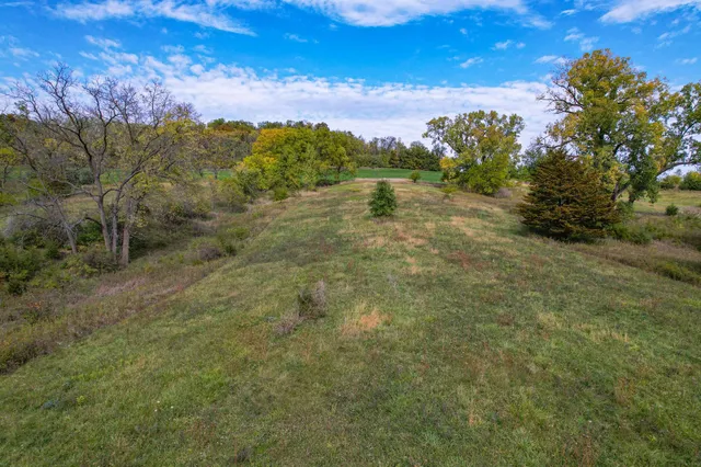 a view of a field with a tree in front of the house