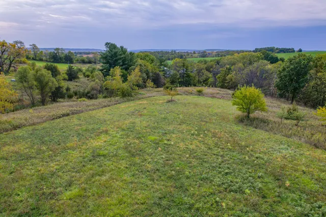 a view of a lush green forest with lots of trees