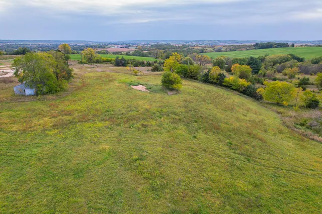 a view of a lush green field