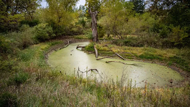view of a bathtub in a bathroom