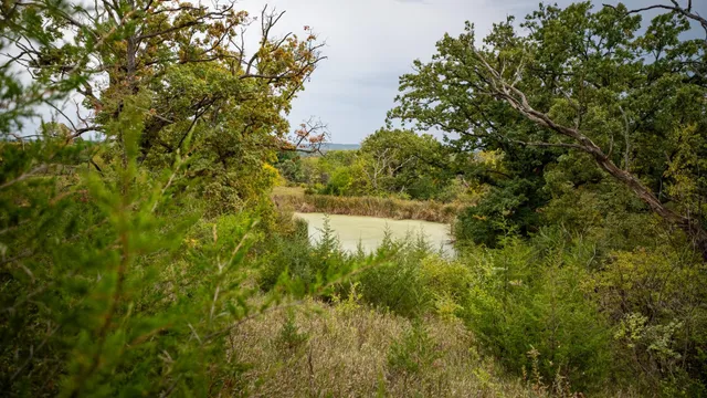 an aerial view of a residential houses with outdoor space
