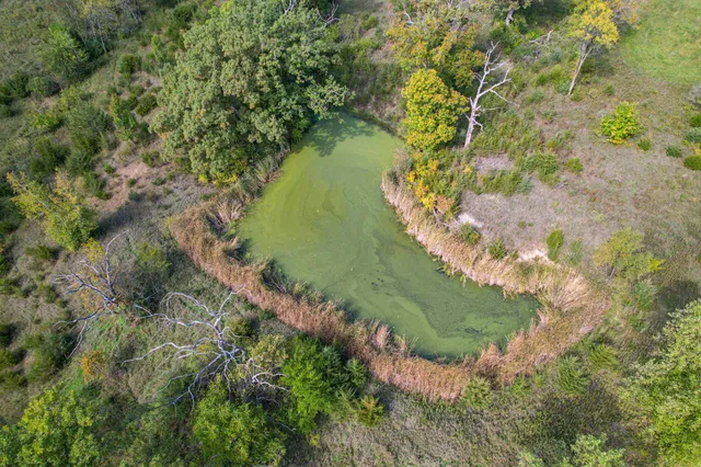 a view of a lake with a yard