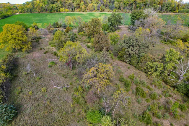 a view of a lush green space
