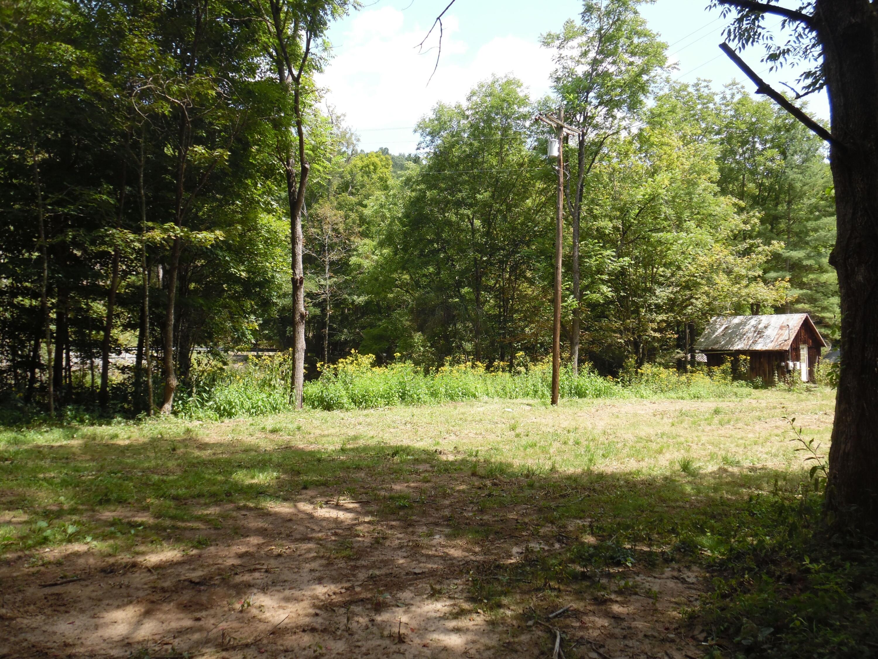 6234 Edray Road Cass, WV 24927 - Photo 20 of 66 Gallery Image 20