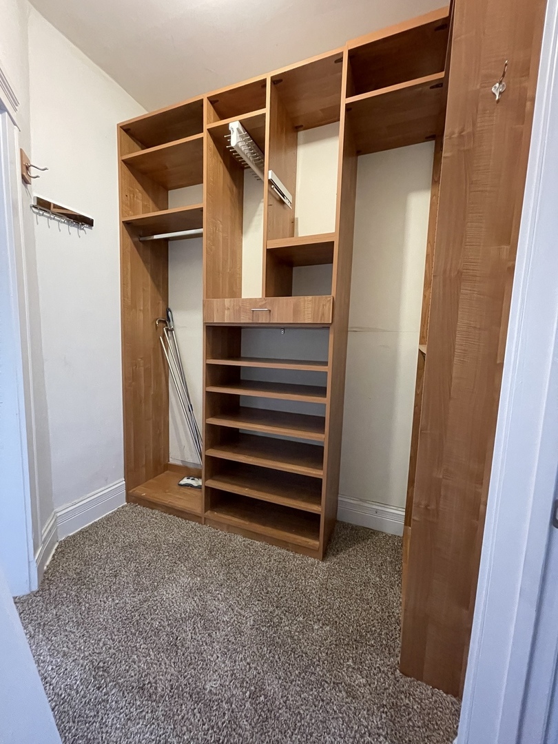 420 East 46th Street, Unit 3 Chicago, IL 60653 - Photo 10 of 17