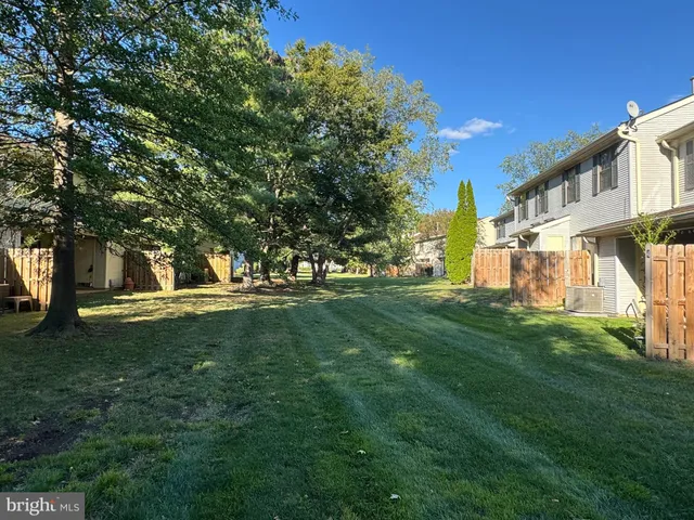 a view of yard with large trees