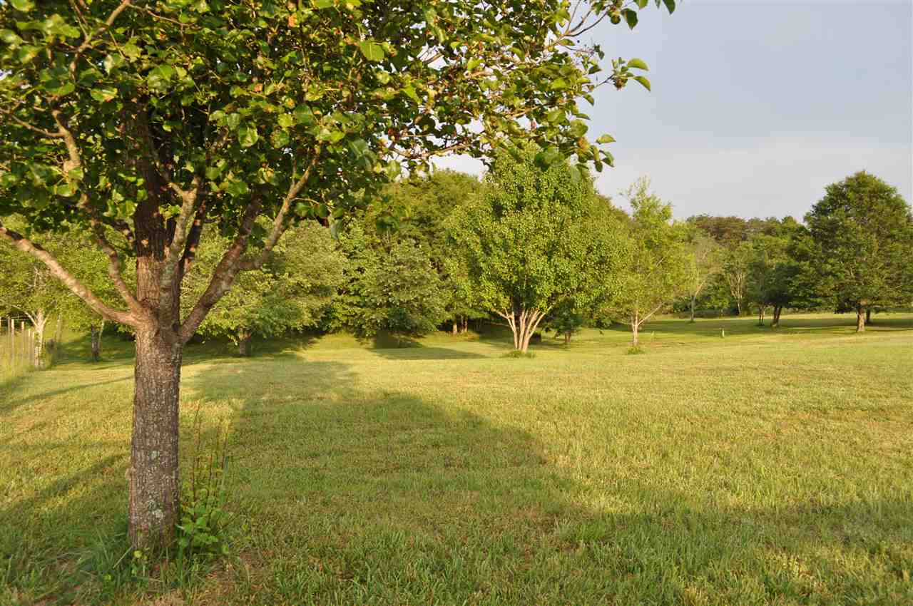594 McSwain Road Chesnee, SC 29323 - Photo 34 of 36