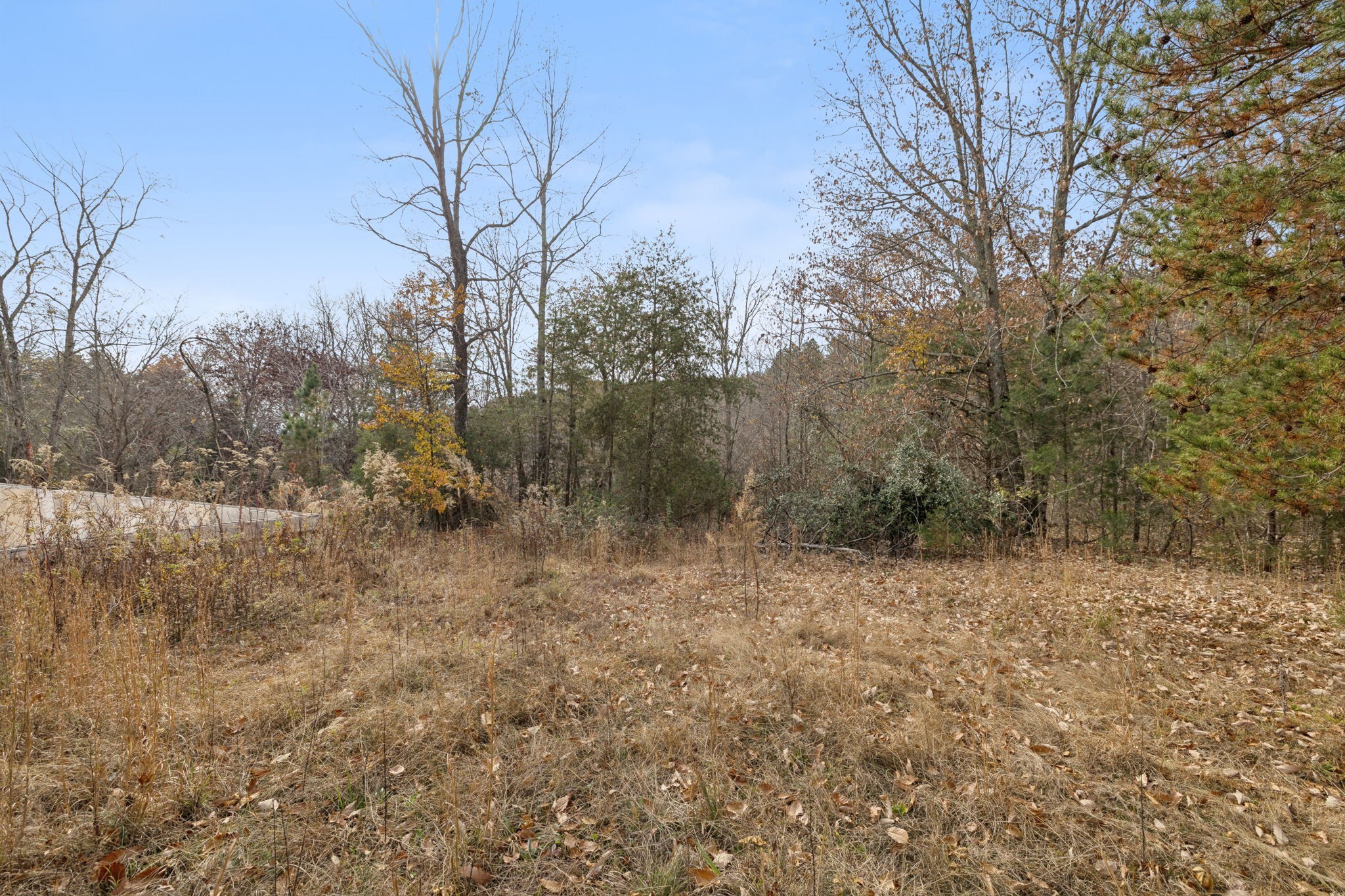 108 Lyell Road Hohenwald, TN 38462 - Photo 27 of 28 a view of a yard with trees