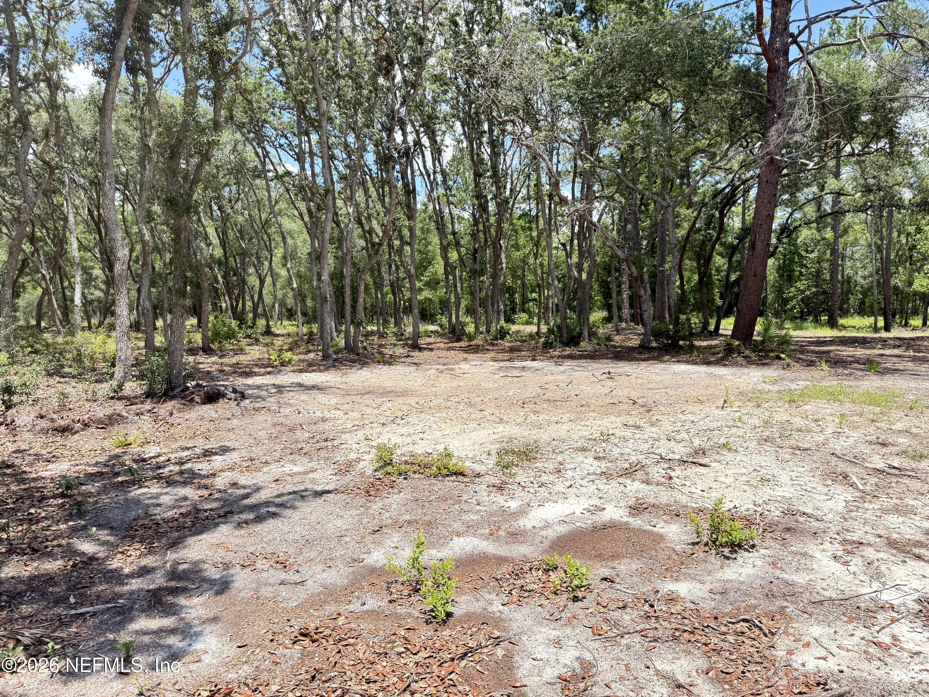 438 Chamberlain Road Satsuma, FL 32189 - Photo 8 of 21 IMG_2956