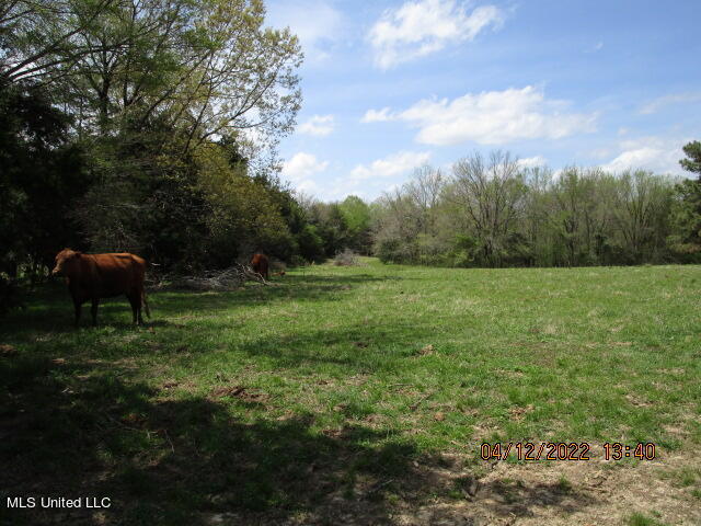 Billingsley Road Senatobia, MS 38668 - Photo 12 of 34 IMG_2922
