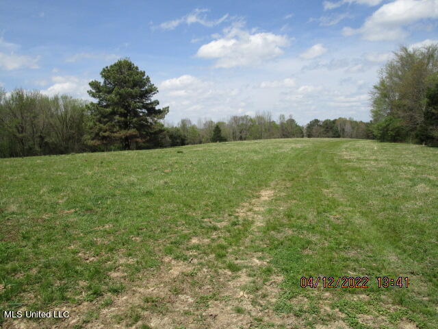 Billingsley Road Senatobia, MS 38668 - Photo 13 of 34 IMG_2923