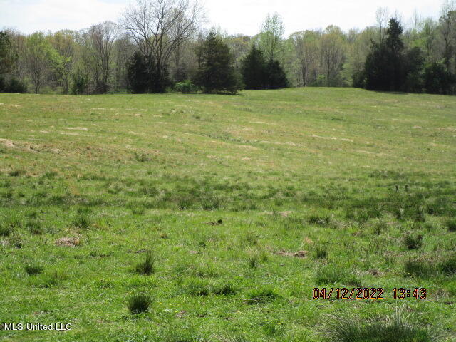 Billingsley Road Senatobia, MS 38668 - Photo 16 of 34 IMG_2926