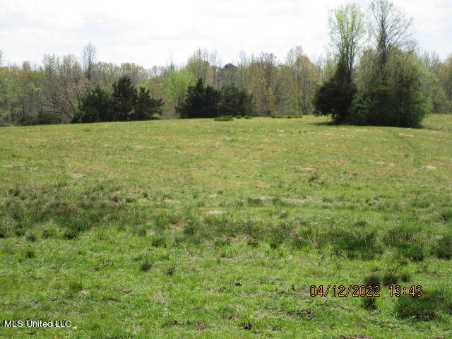 Billingsley Road Senatobia, MS 38668 - Photo 17 of 34 IMG_2927