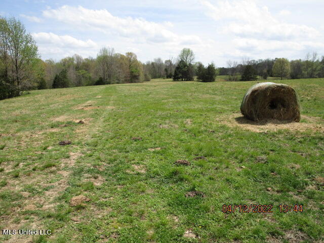 Billingsley Road Senatobia, MS 38668 - Photo 18 of 34 IMG_2928