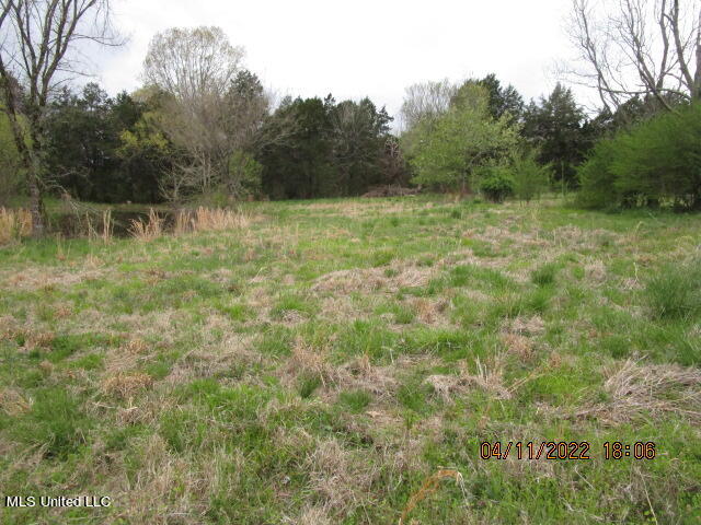 Billingsley Road Senatobia, MS 38668 - Photo 2 of 34 IMG_2910