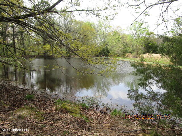 Billingsley Road Senatobia, MS 38668 - Photo 25 of 34 IMG_2935