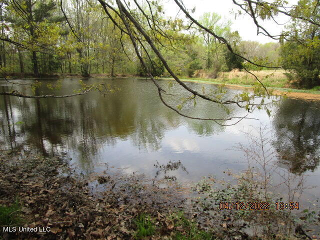 Billingsley Road Senatobia, MS 38668 - Photo 26 of 34 IMG_2936