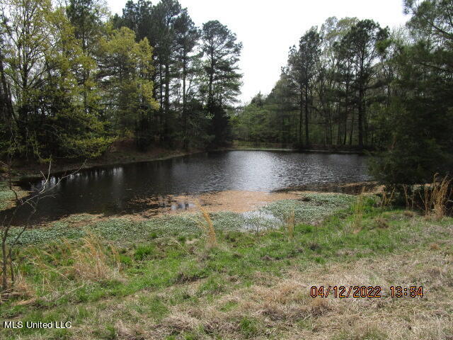 Billingsley Road Senatobia, MS 38668 - Photo 27 of 34 IMG_2937