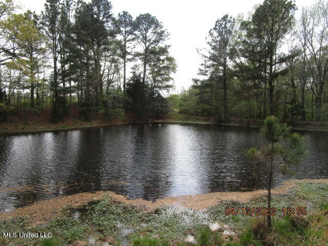 Billingsley Road Senatobia, MS 38668 - Photo 29 of 34 IMG_2939