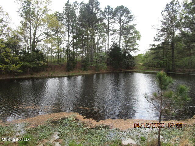 Billingsley Road Senatobia, MS 38668 - Photo 30 of 34 IMG_2940