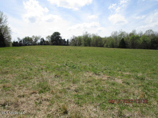 Billingsley Road Senatobia, MS 38668 - Photo 3 of 34 IMG_2913