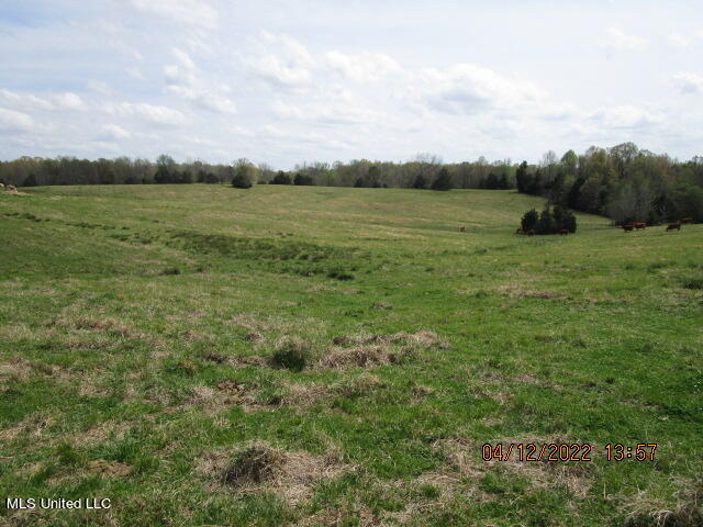 Billingsley Road Senatobia, MS 38668 - Photo 32 of 34 IMG_2942