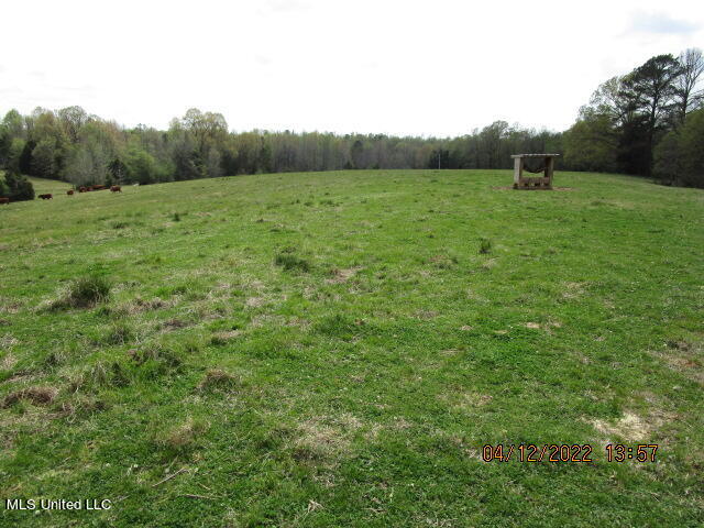 Billingsley Road Senatobia, MS 38668 - Photo 33 of 34 IMG_2943