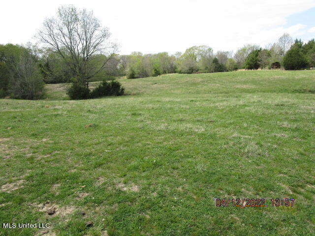 Billingsley Road Senatobia, MS 38668 - Photo 34 of 34 IMG_2944