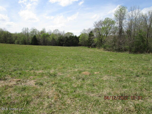 Billingsley Road Senatobia, MS 38668 - Photo 4 of 34 IMG_2914