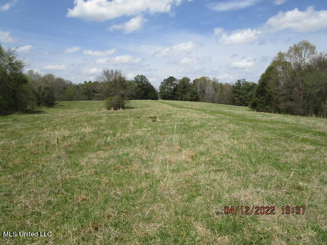 Billingsley Road Senatobia, MS 38668 - Photo 5 of 34 IMG_2915