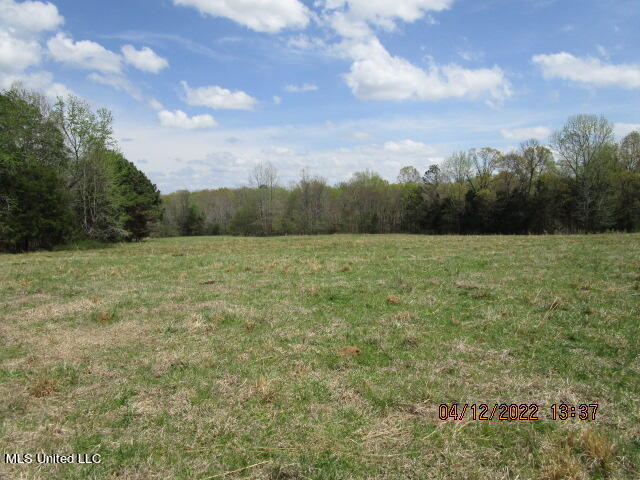 Billingsley Road Senatobia, MS 38668 - Photo 6 of 34 IMG_2916