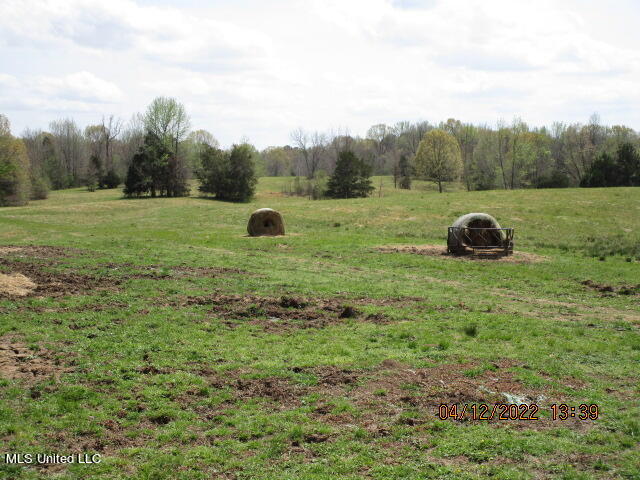 Billingsley Road Senatobia, MS 38668 - Photo 8 of 34 IMG_2918