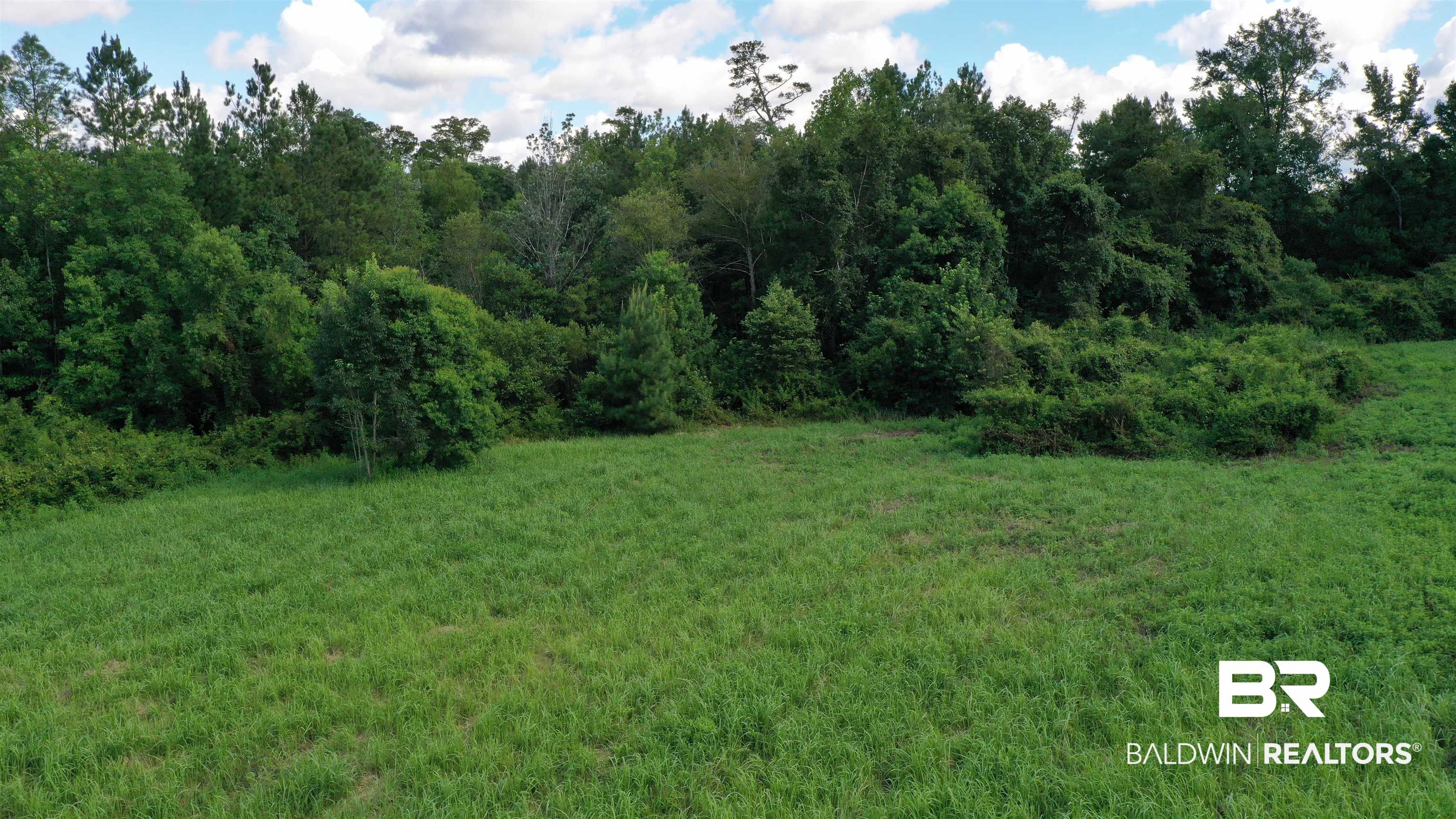 1 Highway 4 Jay, FL 32565 - Photo 22 of 50