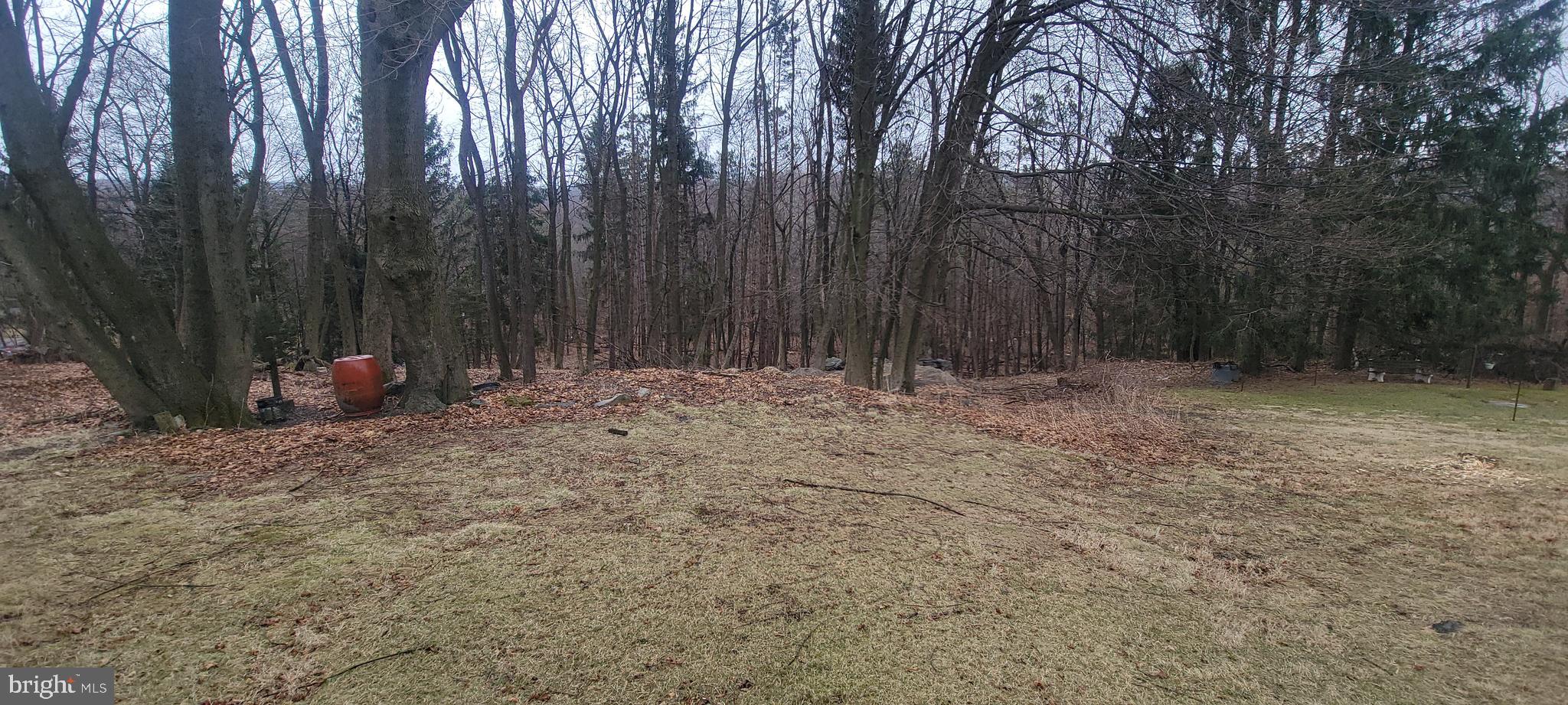 511 Mount Olive Blvd. Shenandoah, PA 17976 - Photo 28 of 34 a view of outdoor space with wooden fence