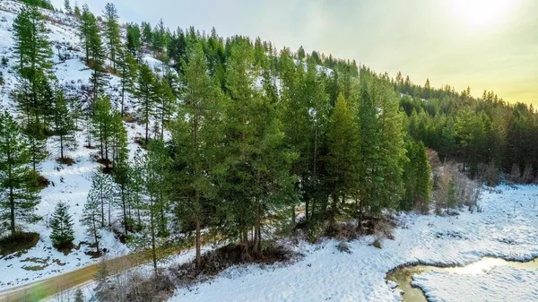 $45,000 | 25-xx Hall Creek Road, Inchelium, WA 99138