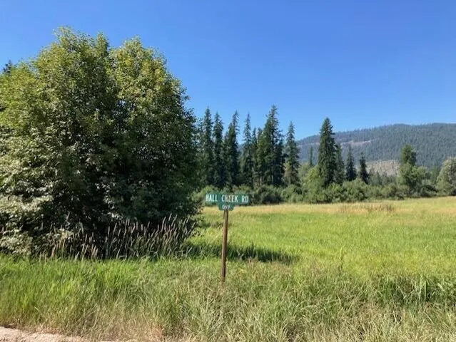 $45,000 | 25-xx Hall Creek Road, Inchelium, WA 99138